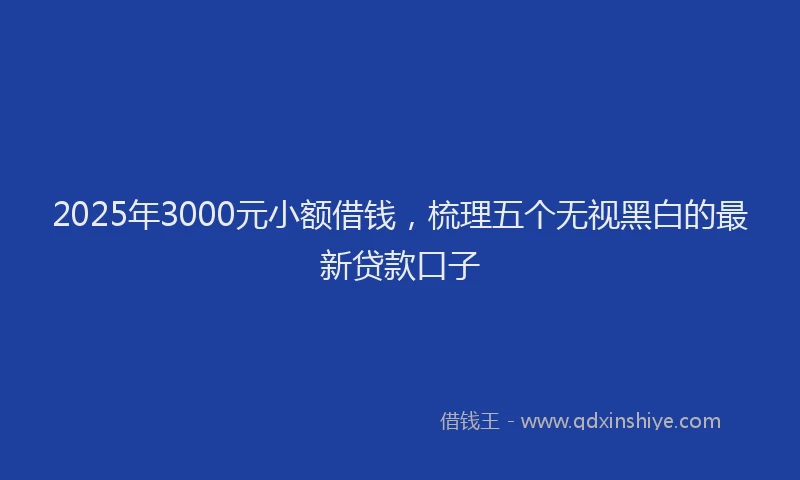 2025年3000元小额借钱，梳理五个无视黑白的最新贷款口子