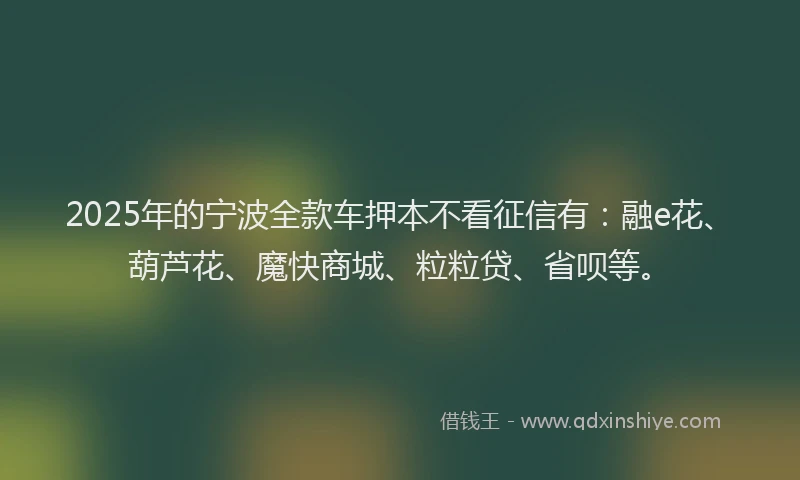 2025年的宁波全款车押本不看征信有：融e花、葫芦花、魔快商城、粒粒贷、省呗等。