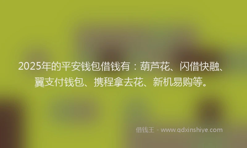 2025年的平安钱包借钱有：葫芦花、闪借快融、翼支付钱包、携程拿去花、新机易购等。