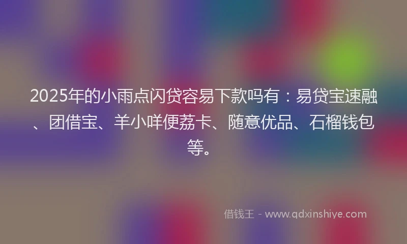2025年的小雨点闪贷容易下款吗有：易贷宝速融、团借宝、羊小咩便荔卡、随意优品、石榴钱包等。