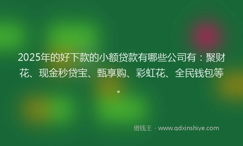 2025年的好下款的小额贷款有哪些公司有：聚财花、现金秒贷宝、甄享购、彩虹花、全民钱包等。