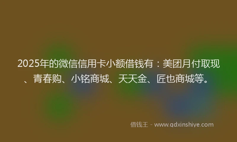2025年的微信信用卡小额借钱有：美团月付取现、青春购、小铭商城、天天金、匠也商城等。