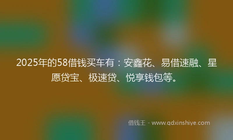 2025年的58借钱买车有：安鑫花、易借速融、星愿贷宝、极速贷、悦享钱包等。