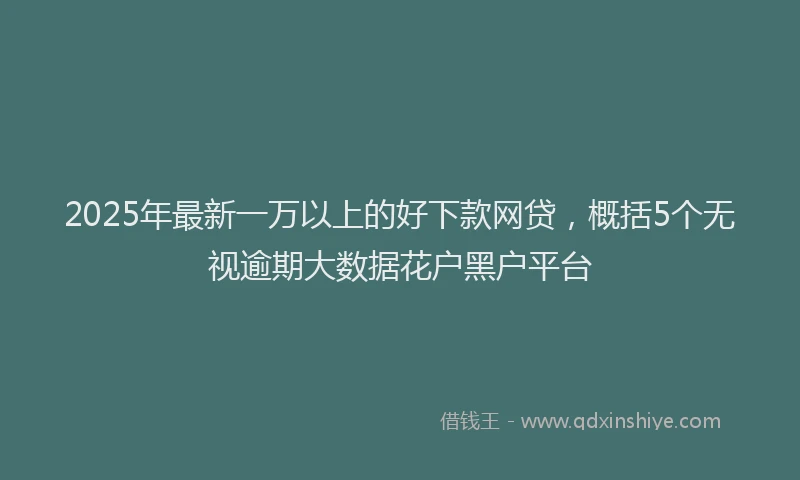 2025年最新一万以上的好下款网贷,概括5个无视逾期大数据花户黑户平台