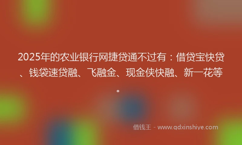 2025年的农业银行网捷贷通不过有：借贷宝快贷、钱袋速贷融、飞融金、现金侠快融、新一花等。