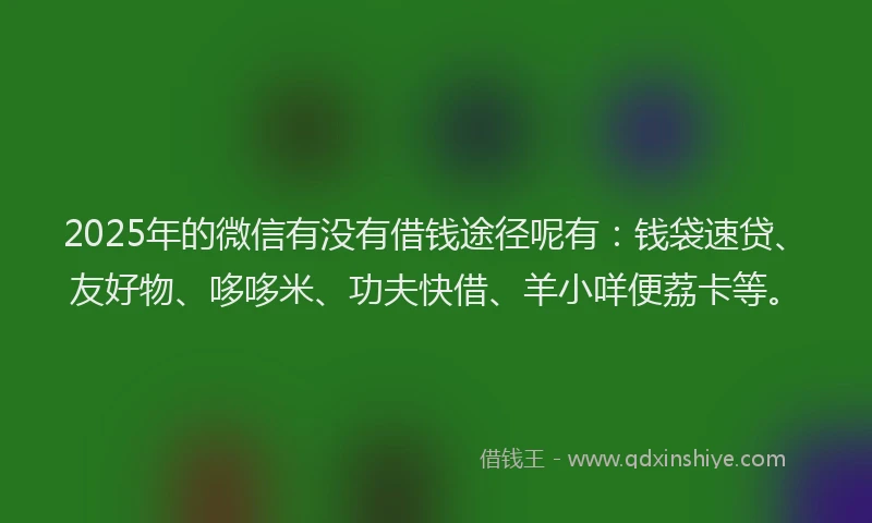 2025年的微信有没有借钱途径呢有：钱袋速贷、友好物、哆哆米、功夫快借、羊小咩便荔卡等。