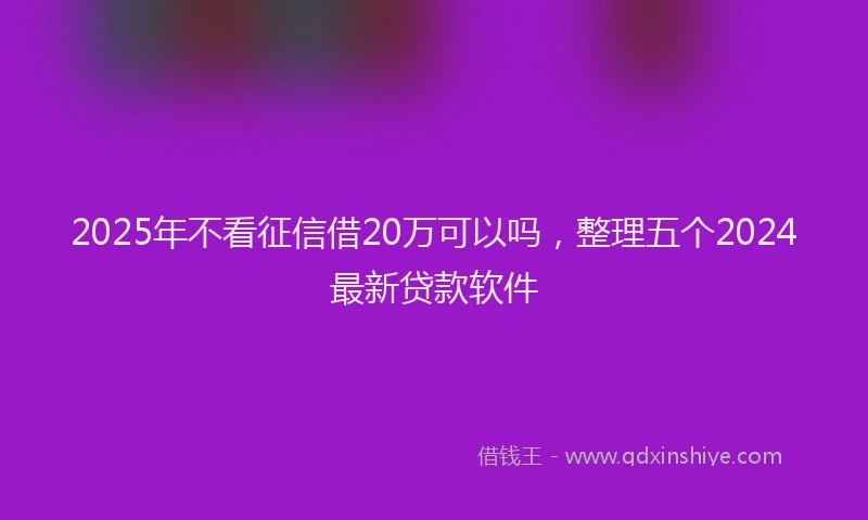 2025年不看征信借20万可以吗，整理五个2024最新贷款软件