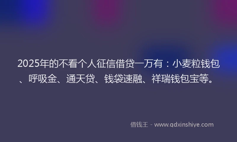 2025年的不看个人征信借贷一万有：小麦粒钱包、呼吸金、通天贷、钱袋速融、祥瑞钱包宝等。