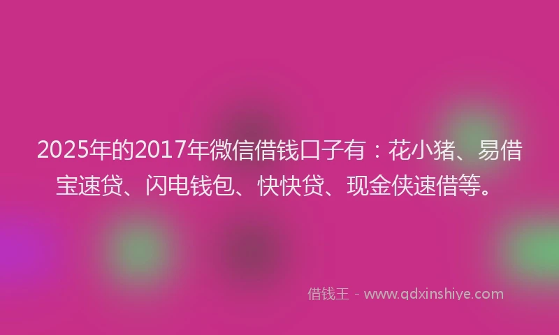 2025年的2017年微信借钱口子有：花小猪、易借宝速贷、闪电钱包、快快贷、现金侠速借等。