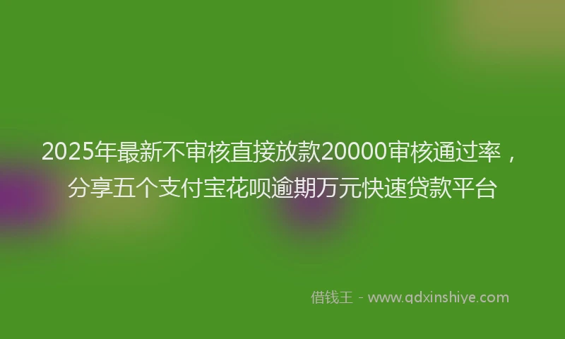 2025年最新不审核直接放款20000审核通过率，分享五个支付宝花呗逾期万元快速贷款平台
