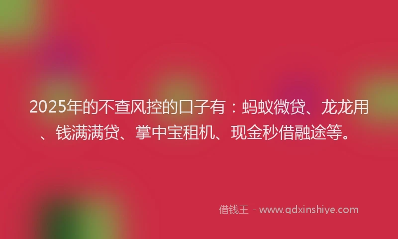 2025年的不查风控的口子有：蚂蚁微贷、龙龙用、钱满满贷、掌中宝租机、现金秒借融途等。