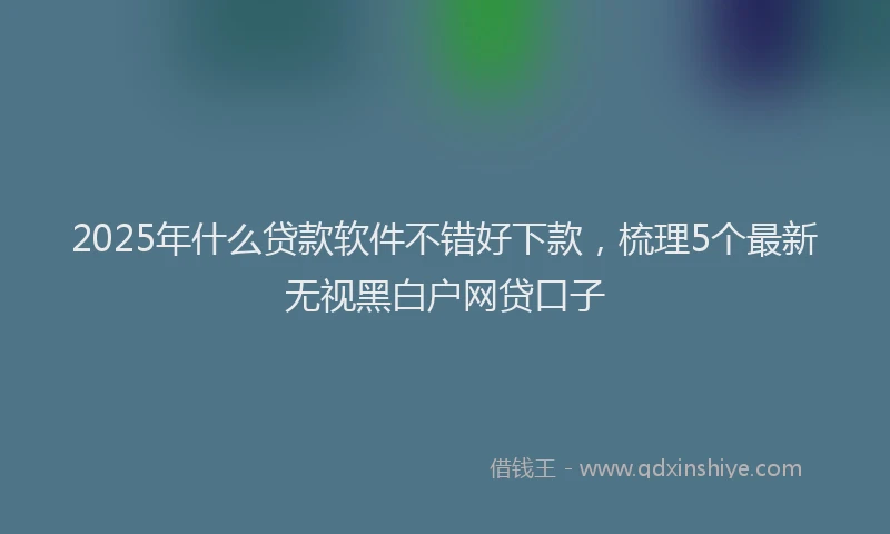 2025年什么贷款软件不错好下款，梳理5个最新无视黑白户网贷口子