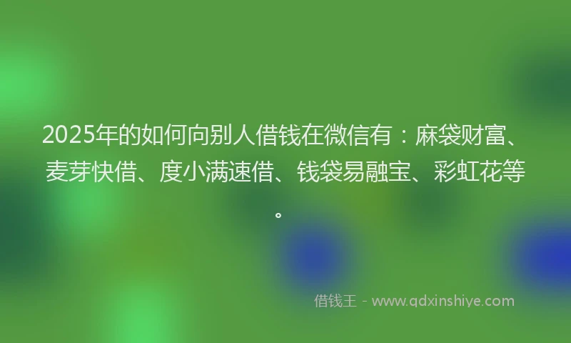 2025年的如何向别人借钱在微信有：麻袋财富、麦芽快借、度小满速借、钱袋易融宝、彩虹花等。