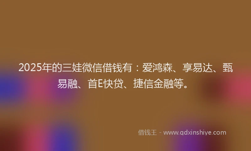 2025年的三娃微信借钱有：爱鸿森、享易达、甄易融、首E快贷、捷信金融等。