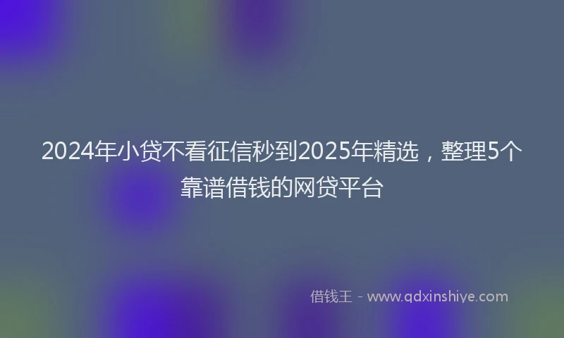 2024年小贷不看征信秒到2025年精选，整理5个靠谱借钱的网贷平台