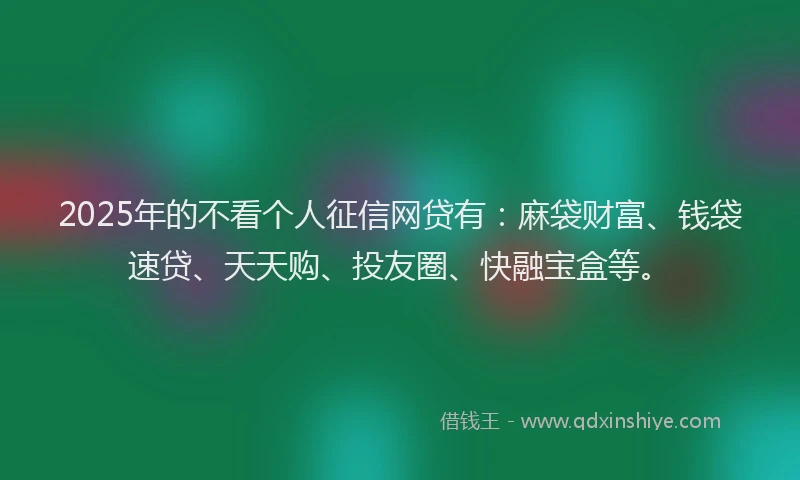 2025年的不看个人征信网贷有：麻袋财富、钱袋速贷、天天购、投友圈、快融宝盒等。