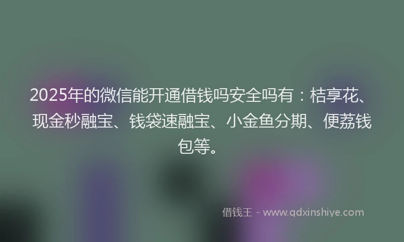2025年的微信能开通借钱吗安全吗有：桔享花、现金秒融宝、钱袋速融宝、小金鱼分期、便荔钱包等。