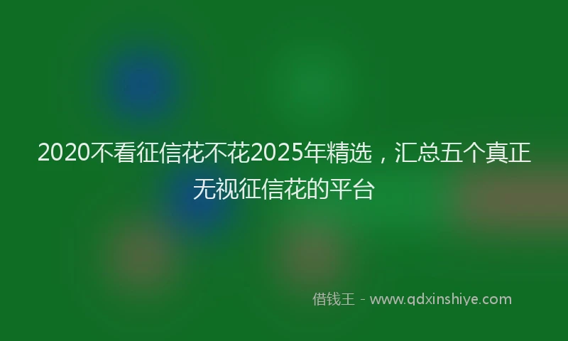 2020不看征信花不花2025年精选，汇总五个真正无视征信花的平台