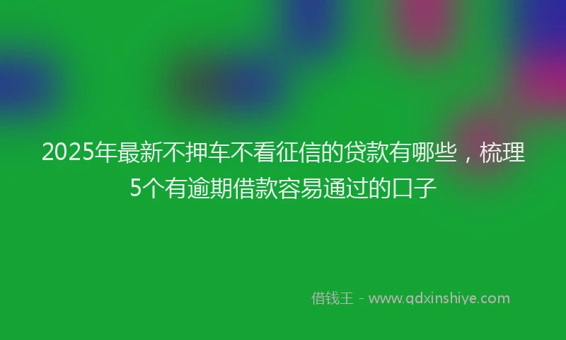 2025年最新不押车不看征信的贷款有哪些，梳理5个有逾期借款容易通过的口子