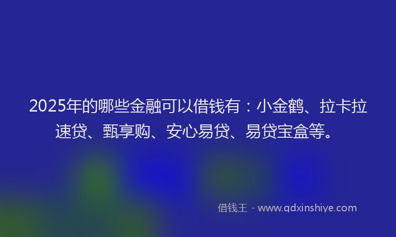 2025年的哪些金融可以借钱有：小金鹤、拉卡拉速贷、甄享购、安心易贷、易贷宝盒等。