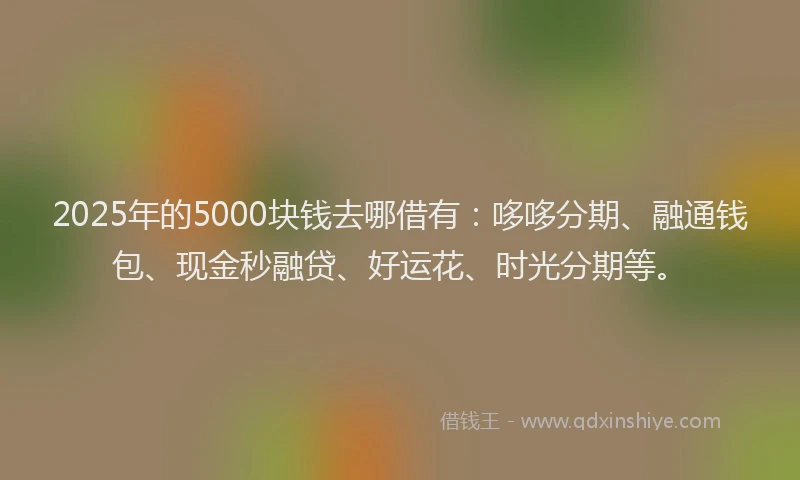2025年的5000块钱去哪借有：哆哆分期、融通钱包、现金秒融贷、好运花、时光分期等。