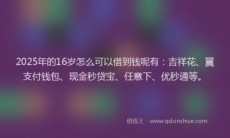 2025年的16岁怎么可以借到钱呢有：吉祥花、翼支付钱包、现金秒贷宝、任意下、优秒通等。