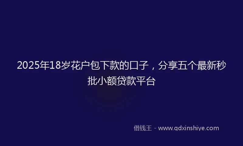 2025年18岁花户包下款的口子，分享五个最新秒批小额贷款平台