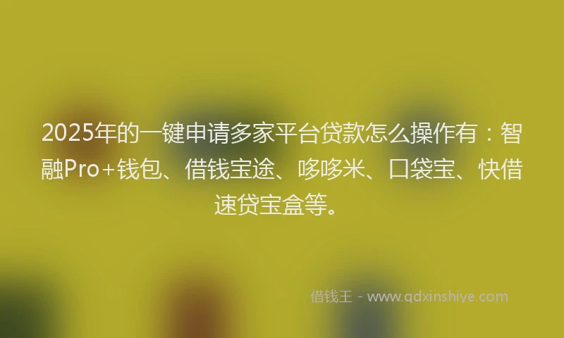 2025年的一键申请多家平台贷款怎么操作有：智融Pro+钱包、借钱宝途、哆哆米、口袋宝、快借速贷宝盒等。