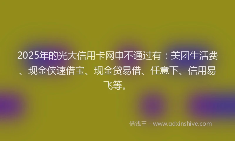 2025年的光大信用卡网申不通过有：美团生活费、现金侠速借宝、现金贷易借、任意下、信用易飞等。
