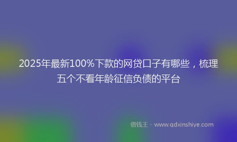 2025年最新100%下款的网贷口子有哪些，梳理五个不看年龄征信负债的平台