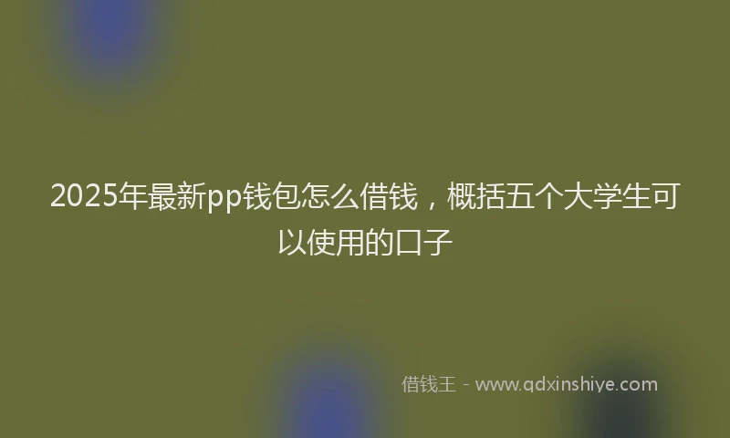 2025年最新pp钱包怎么借钱，概括五个大学生可以使用的口子