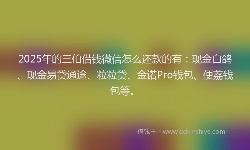 2025年的三伯借钱微信怎么还款的有：现金白鸽、现金易贷通途、粒粒贷、金诺Pro钱包、便荔钱包等。