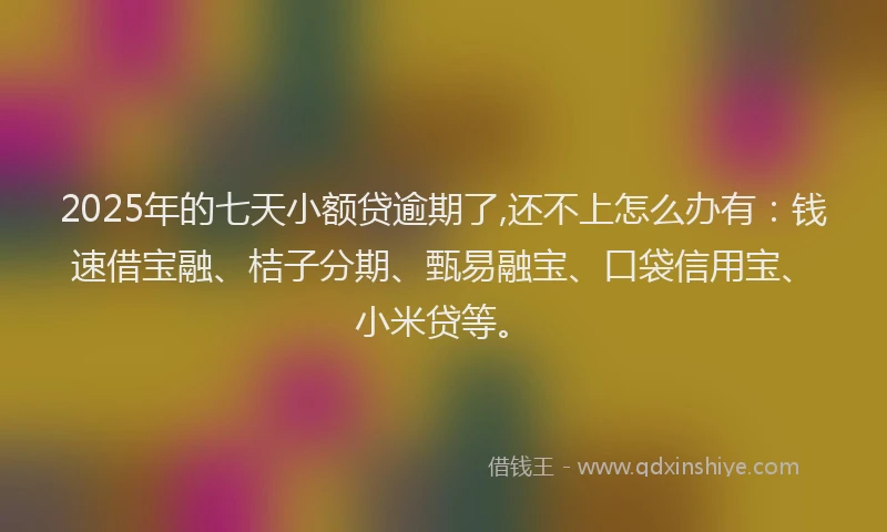 2025年的七天小额贷逾期了,还不上怎么办有：钱速借宝融、桔子分期、甄易融宝、口袋信用宝、小米贷等。