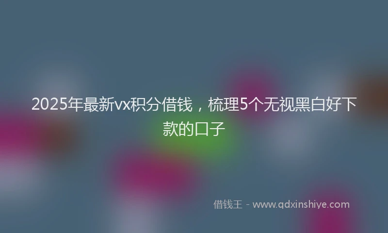 2025年最新vx积分借钱,梳理5个无视黑白好下款的口子