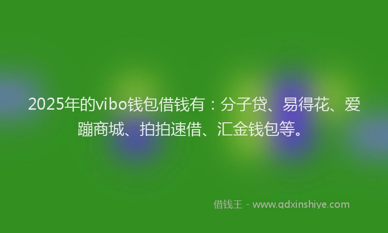 2025年的vibo钱包借钱有：分子贷、易得花、爱蹦商城、拍拍速借、汇金钱包等。