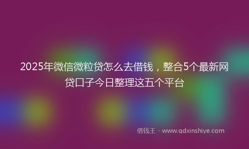 2025年微信微粒贷怎么去借钱，整合5个最新网贷口子今日整理这五个平台