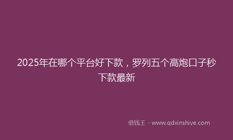 2025年在哪个平台好下款，罗列五个高炮口子秒下款最新