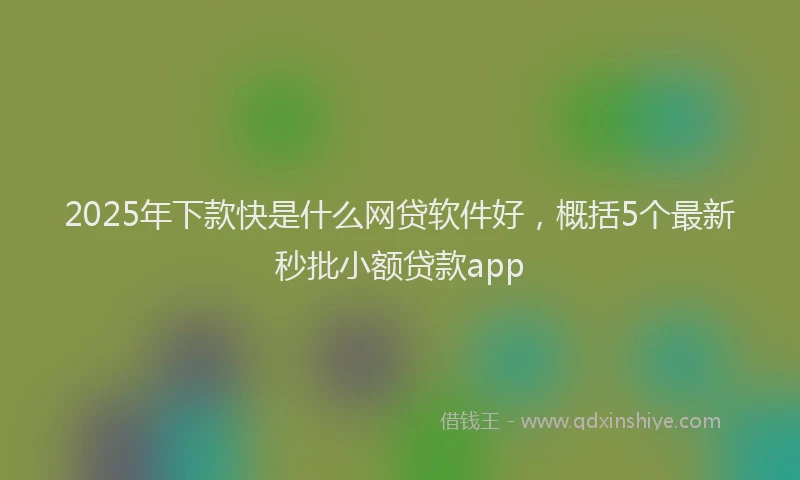 2025年下款快是什么网贷软件好，概括5个最新秒批小额贷款app