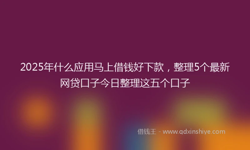 2025年什么应用马上借钱好下款，整理5个最新网贷口子今日整理这五个口子