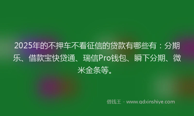 2025年的不押车不看征信的贷款有哪些有：分期乐、借款宝快贷通、瑞信Pro钱包、瞬下分期、微米金条等。
