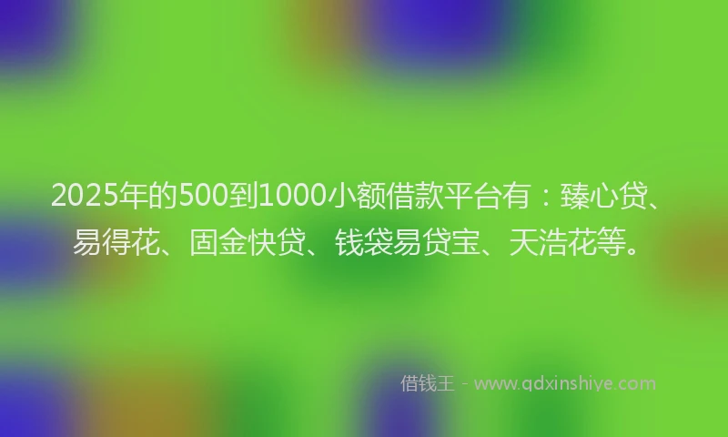 2025年的500到1000小额借款平台有：臻心贷、易得花、固金快贷、钱袋易贷宝、天浩花等。