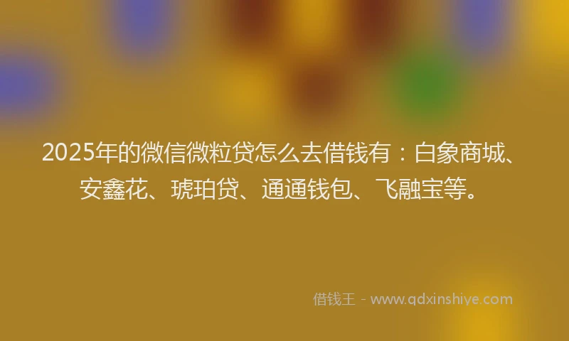 2025年的微信微粒贷怎么去借钱有：白象商城、安鑫花、琥珀贷、通通钱包、飞融宝等。