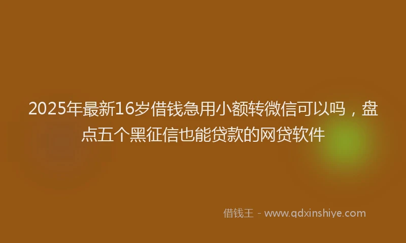 2025年最新16岁借钱急用小额转微信可以吗，盘点五个黑征信也能贷款的网贷软件