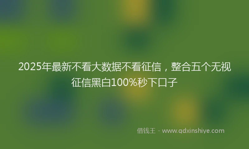 2025年最新不看大数据不看征信，整合五个无视征信黑白100%秒下口子