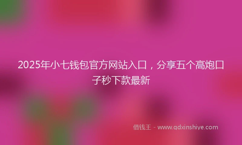 2025年小七钱包官方网站入口，分享五个高炮口子秒下款最新
