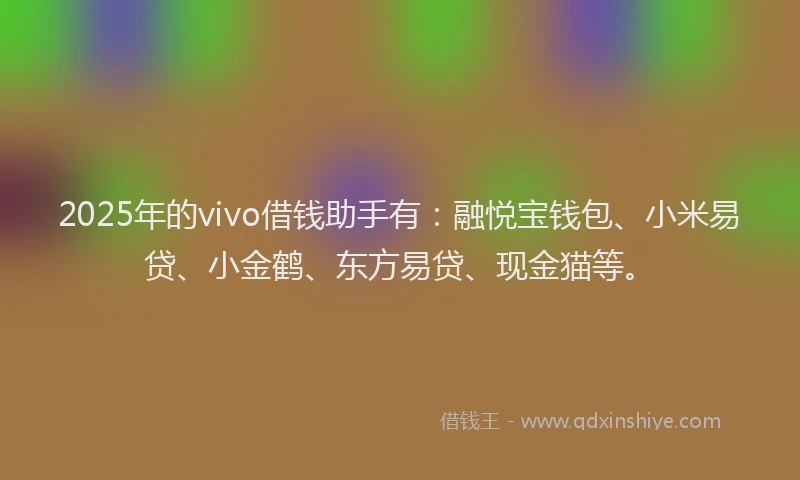 2025年的vivo借钱助手有：融悦宝钱包、小米易贷、小金鹤、东方易贷、现金猫等。