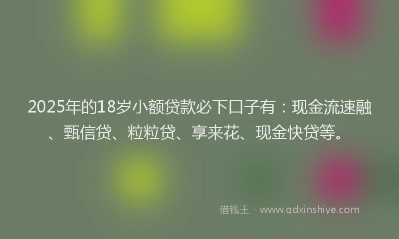 2025年的18岁小额贷款必下口子有：现金流速融、甄信贷、粒粒贷、享来花、现金快贷等。
