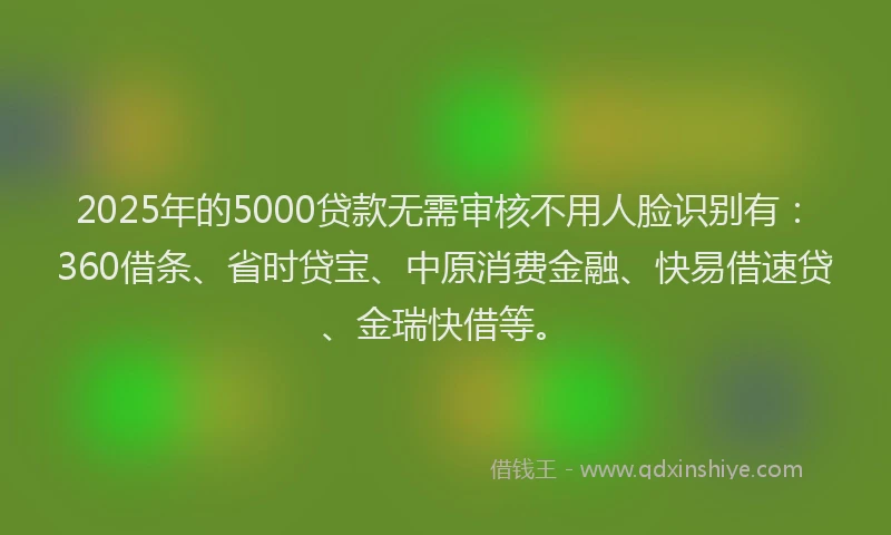 2025年的5000贷款无需审核不用人脸识别有：360借条、省时贷宝、中原消费金融、快易借速贷、金瑞快借等。