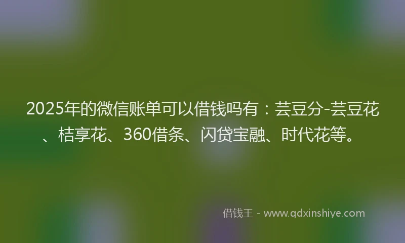 2025年的微信账单可以借钱吗有：芸豆分-芸豆花、桔享花、360借条、闪贷宝融、时代花等。