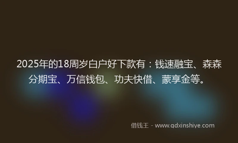 2025年的18周岁白户好下款有：钱速融宝、森森分期宝、万信钱包、功夫快借、蒙享金等。